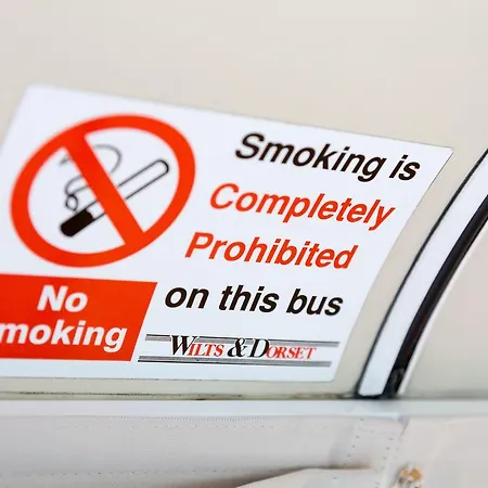 Bed In Bus Bed & Breakfast